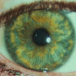 Meet your Posher, Jade